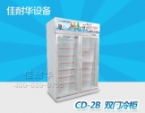 豪华型两门冷柜冰柜