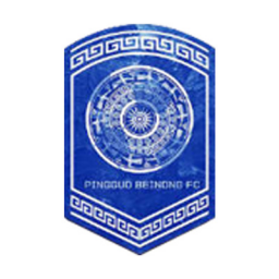 河南万仙山女足